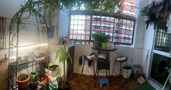 Blk 261 Bishan Street 22 (Bishan), HDB Executive #558127901
